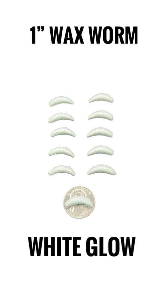 1" WAX WORM