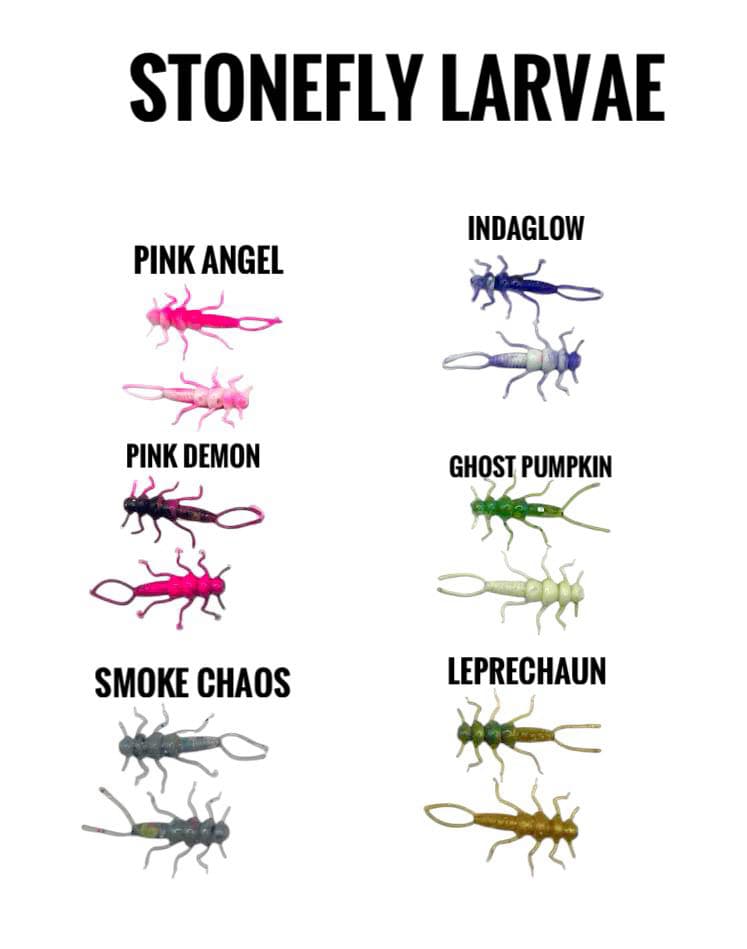 Stonefly Larvae