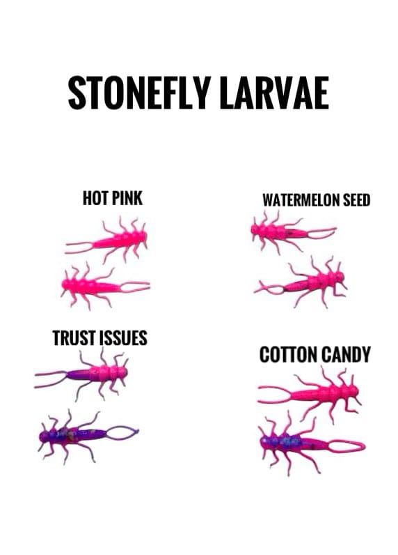Stonefly Larvae
